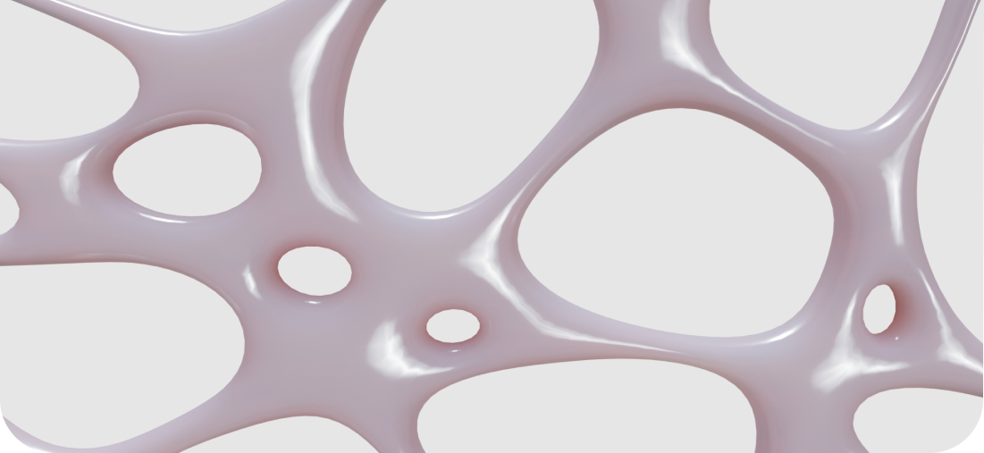 Cum a luat „naștere” sistemul Mona?